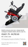Elektrorollstuhl und Treppensteiger Detlef Niegoth
