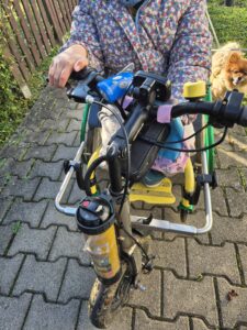 Kinder Zuggerät Triride