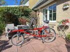 Tandem Hase Pino - Tandem Hase Pino