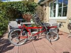 Tandem Hase Pino - Tandem Hase Pino