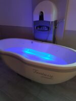 Pflegebadewanne Fantasy Hub-Drehwanne