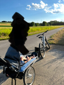 Junior Benecykl Fahrradanhänger