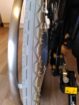 Elektro-Aktiv-/Leichtrollstuhl Alber E-Fix E35 / Sopur Easy Life - Elektro-Aktiv-/Leichtrollstuhl Alber E-Fix E35 / Sopur Easy Life