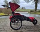 Rehabuggy / Fahrradanhänger - Rehabuggy / Fahrradanhänger